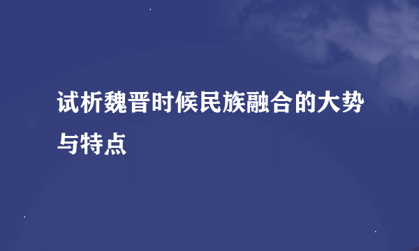 试析魏晋时候民族融合的大势与特点