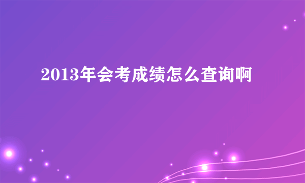 2013年会考成绩怎么查询啊