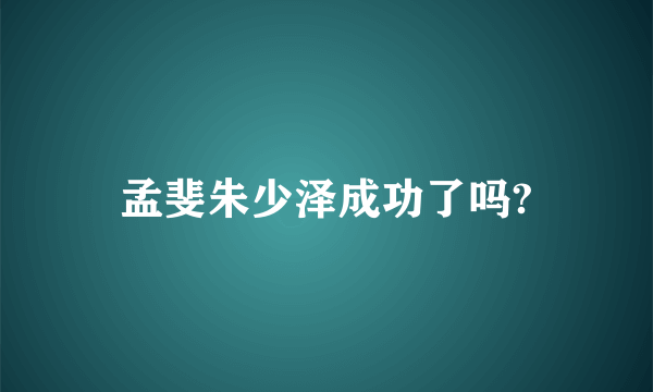 孟斐朱少泽成功了吗?