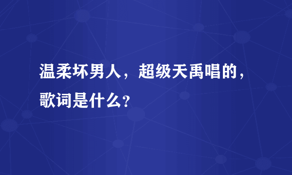 温柔坏男人，超级天禹唱的，歌词是什么？