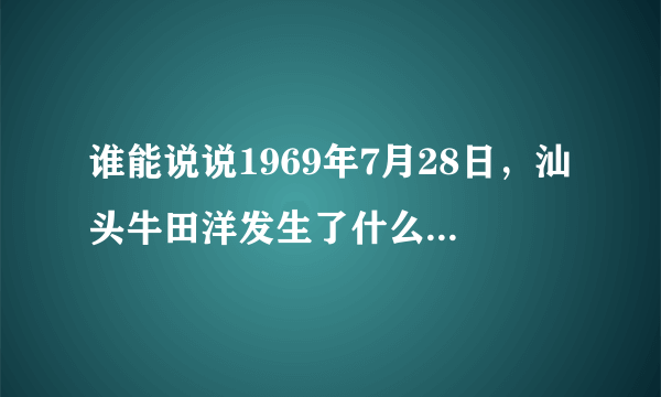 谁能说说1969年7月28日，汕头牛田洋发生了什么事，我要详细的资料。