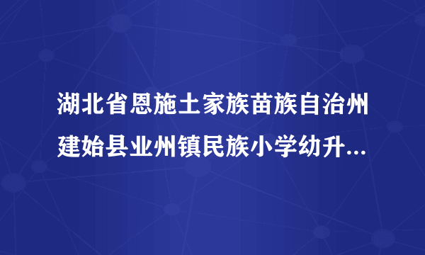 湖北省恩施土家族苗族自治州建始县业州镇民族小学幼升小审核查询系统和电话号码是多少？