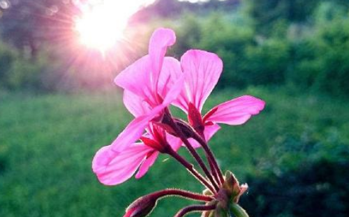 花开花落，人如旧，潮涨潮落，风依然.什么意思