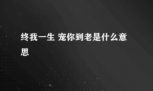 终我一生 宠你到老是什么意思