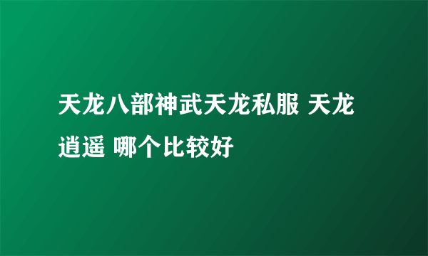 天龙八部神武天龙私服 天龙 逍遥 哪个比较好