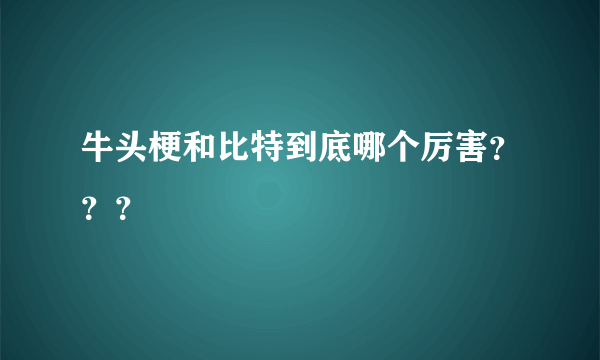 牛头梗和比特到底哪个厉害？？？