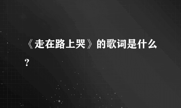 《走在路上哭》的歌词是什么？