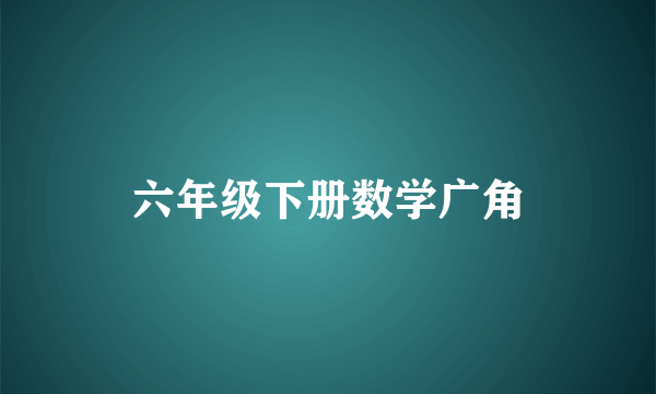 六年级下册数学广角