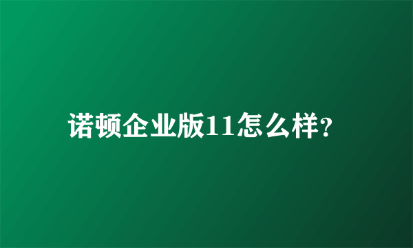 诺顿企业版11怎么样？