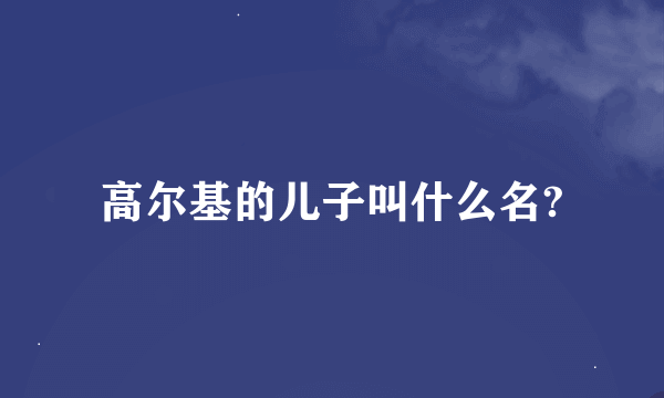 高尔基的儿子叫什么名?