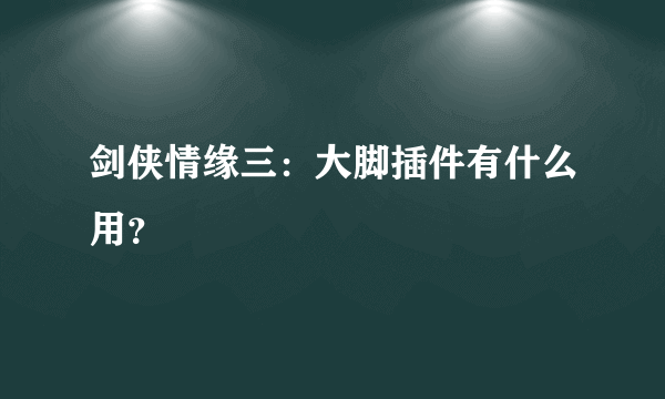 剑侠情缘三：大脚插件有什么用？