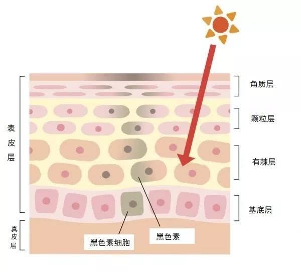 李医生去斑的产品怎么样？