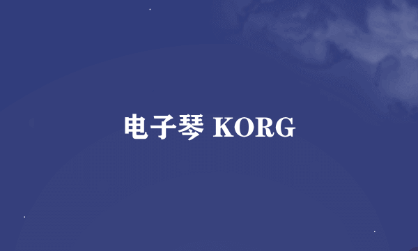 电子琴 KORG