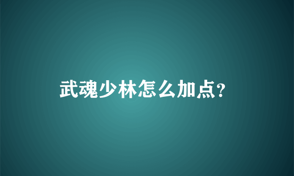 武魂少林怎么加点？