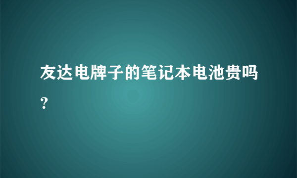 友达电牌子的笔记本电池贵吗？