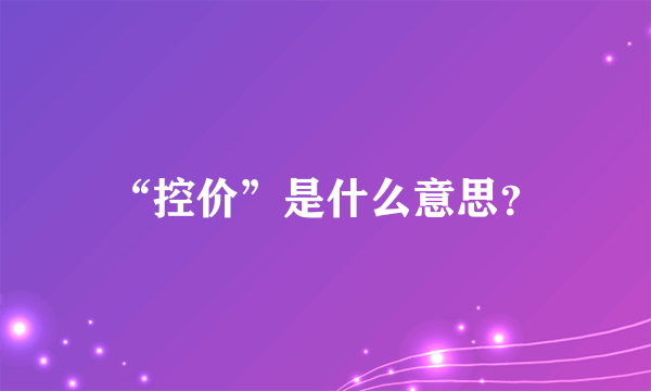 “控价”是什么意思？