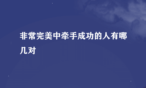 非常完美中牵手成功的人有哪几对