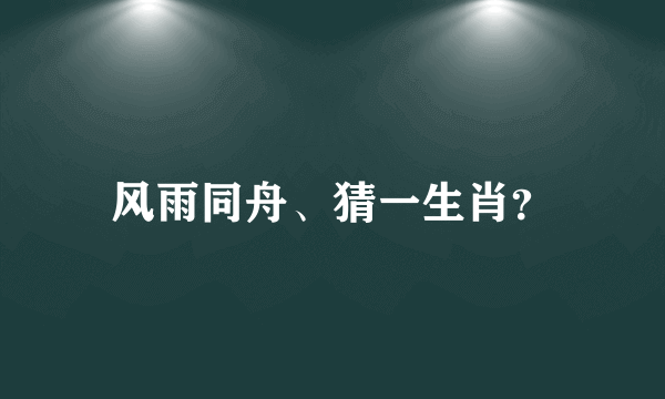 风雨同舟、猜一生肖？