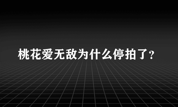 桃花爱无敌为什么停拍了？