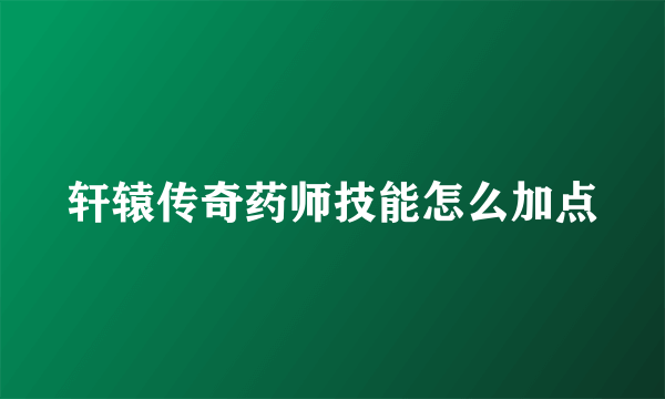 轩辕传奇药师技能怎么加点