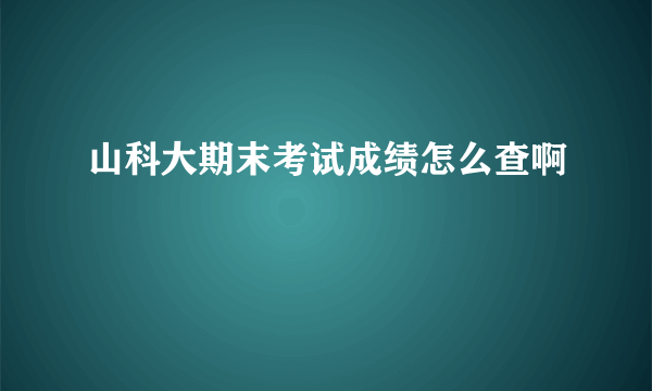 山科大期末考试成绩怎么查啊