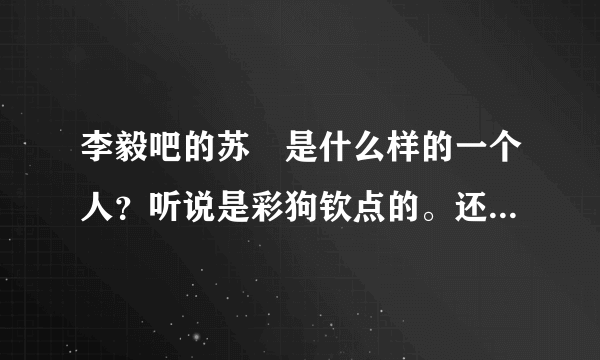 李毅吧的苏颙是什么样的一个人？听说是彩狗钦点的。还有他为什么是孝子？