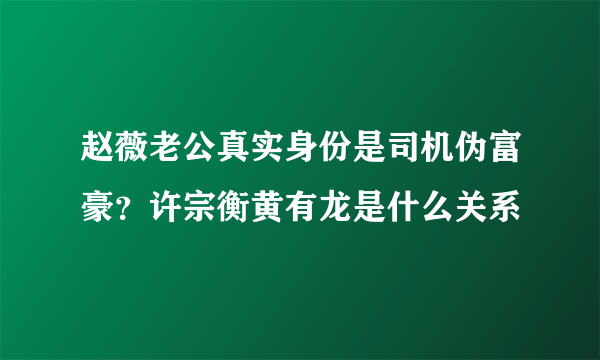 赵薇老公真实身份是司机伪富豪？许宗衡黄有龙是什么关系