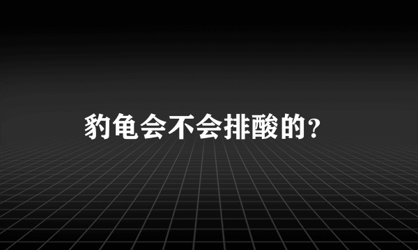 豹龟会不会排酸的？