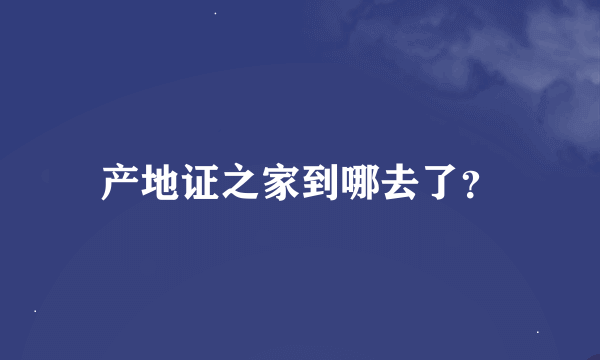 产地证之家到哪去了？