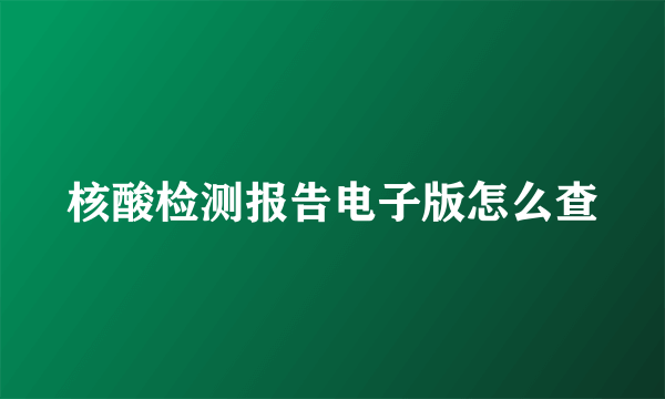 核酸检测报告电子版怎么查