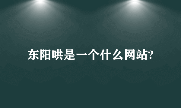 东阳哄是一个什么网站?