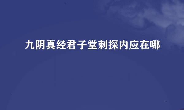 九阴真经君子堂刺探内应在哪