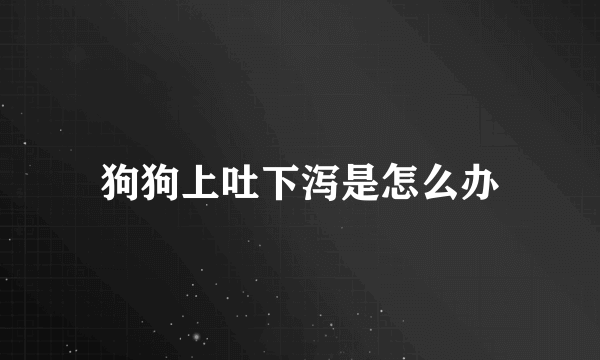 狗狗上吐下泻是怎么办