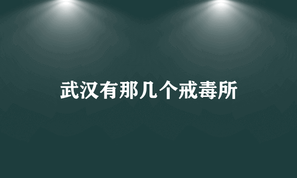 武汉有那几个戒毒所