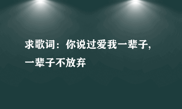 求歌词：你说过爱我一辈子,一辈子不放弃