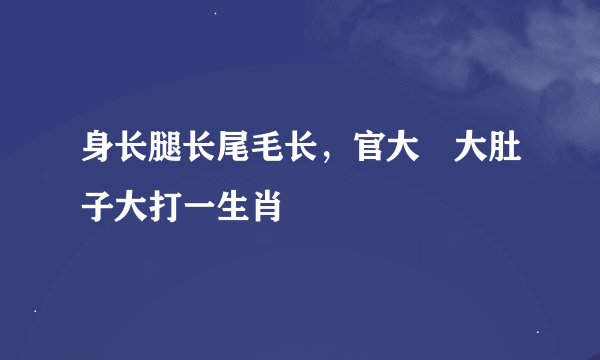 身长腿长尾毛长，官大權大肚子大打一生肖