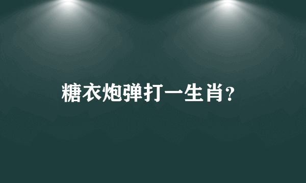 糖衣炮弹打一生肖？