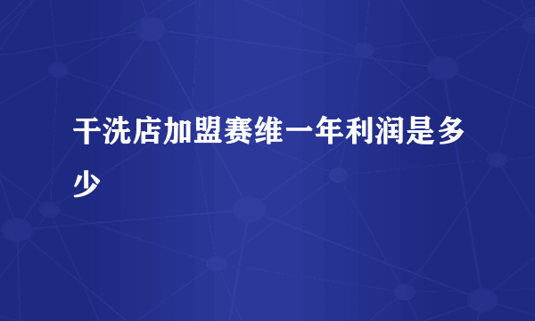 干洗店加盟赛维一年利润是多少