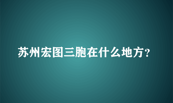 苏州宏图三胞在什么地方？