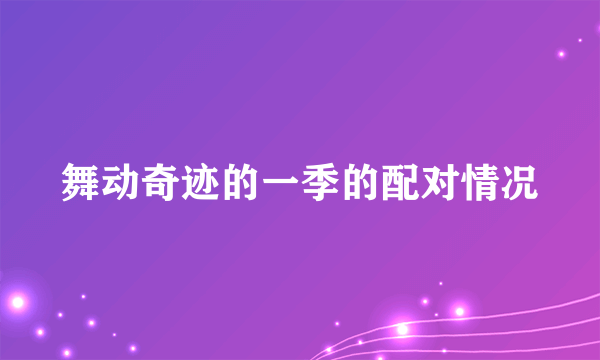 舞动奇迹的一季的配对情况