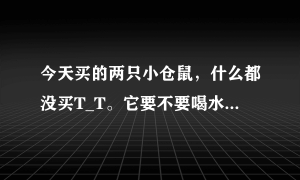 今天买的两只小仓鼠，什么都没买T_T。它要不要喝水？怎么喂？吃什么？求意见