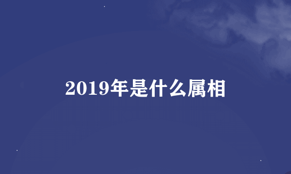 2019年是什么属相