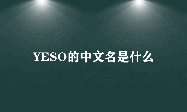 YESO的中文名是什么