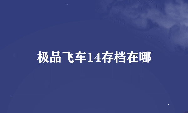 极品飞车14存档在哪