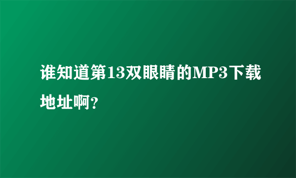 谁知道第13双眼睛的MP3下载地址啊？