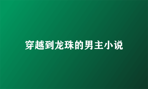 穿越到龙珠的男主小说