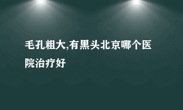 毛孔粗大,有黑头北京哪个医院治疗好