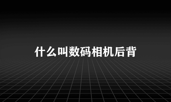 什么叫数码相机后背