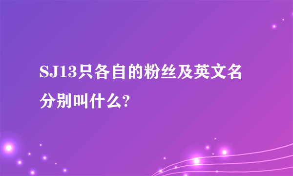 SJ13只各自的粉丝及英文名分别叫什么?