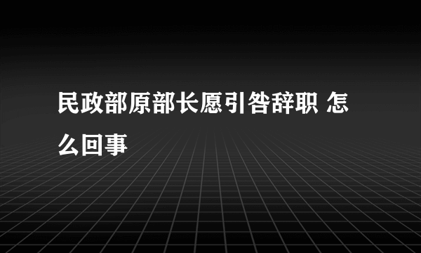 民政部原部长愿引咎辞职 怎么回事